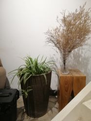 -M+hair salon专业造型沙龙