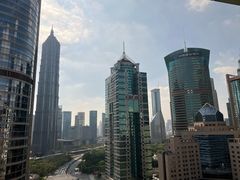 -上海市东方医院(总院)