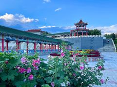 -克拉玛依河景区-九龙潭