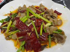 酸辣猪大肠-张氏特色豆花火锅酸汤鱼(江口店)