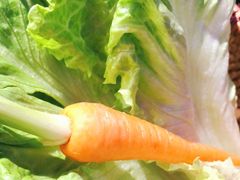 -十三姨正合丰烤肉(营迹路店)