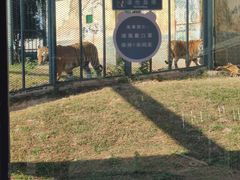 -无锡动物园·太湖欢乐园