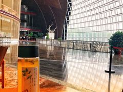 餐饮设施-国家大剧院