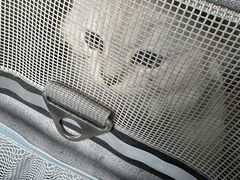 -瑞派康怡24h宠物医院·犬猫医疗中心·微创绝育(瑞景分院)