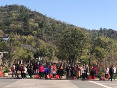 -长兴慧子土特产茶行