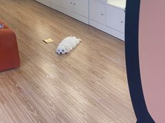 -招商银行(上海徐家汇支行)