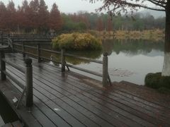 -浙江农林大学(东湖校区)