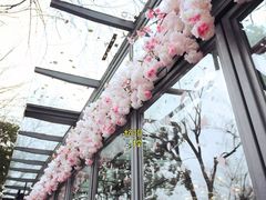 -星巴克(西湖天地店)
