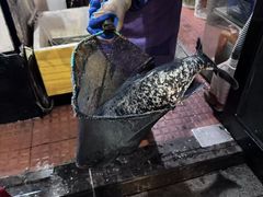 -丰乐餐厅·始于1999·本地老字号