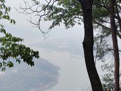 -铁山坪森林公园