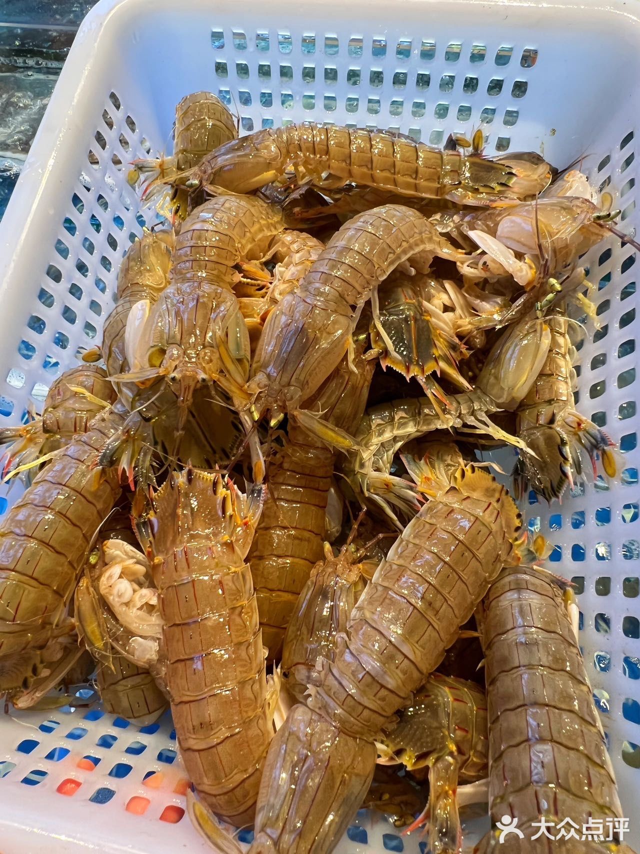 砂锅焗海鲜这么好吃我怎么现在才吃到