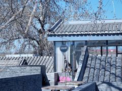 -自如ZSPACE四合院艺术餐厅
