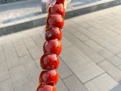 -和禄德冰糖葫芦(东四朝内菜市场店)