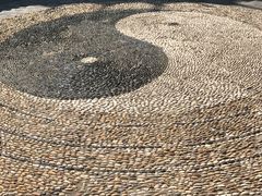 -上海佘山国家森林公园西佘山园