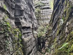 -梭布垭石林景区