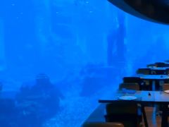 -海棠湾洲际-涛·海底餐厅·美人鱼·自助餐·海底隧道