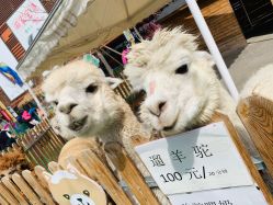 -萌宠亲子动物乐园(槐房万达店)