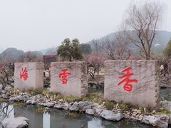 -香雪海