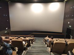 -深影国际影城(学院南路店CGS中国巨幕店)
