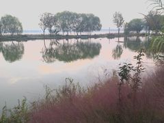 -东湖落雁景区