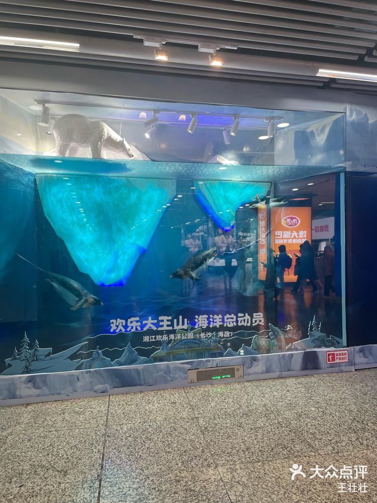 大王山海洋公园要开业