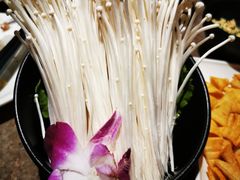 -三人行骨头王火锅(长寿店)