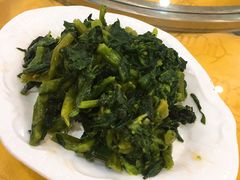 拌马兰头-清真·安乐园菜馆(茶南店)