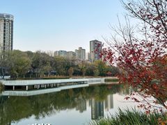 -咸阳湖景区