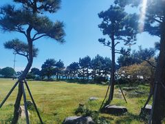-海云台海滩