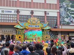 -西双版纳原始森林公园