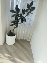 -HEYAN荷妍专业脱毛连锁机构