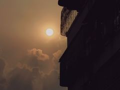 -三水森林公园
