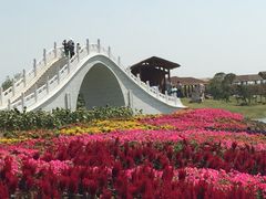 -金卉庄园