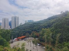 -鲤鱼塘农家山庄