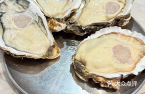 Zhanjiang Guandu Oyster