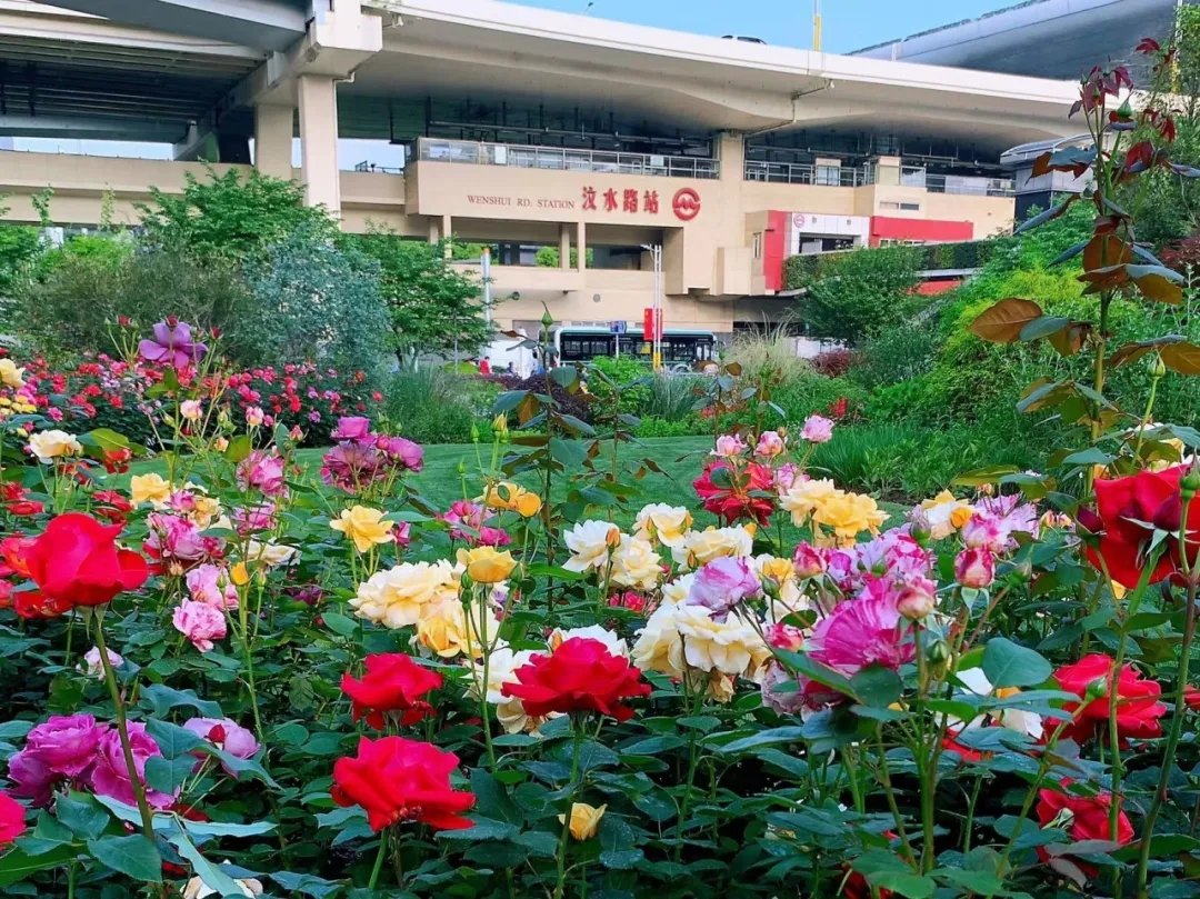 汶河车站景点图片