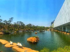 -罗红摄影艺术馆