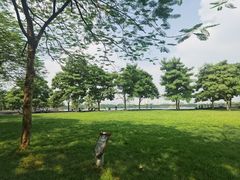 -海珠湖公园