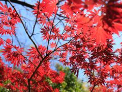 -苏州河梦清园环保主题公园