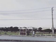 -美国村