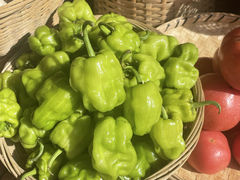 -七步香云南山里菜(昆明老街店)