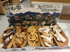 -芸山季·云南山珍菌火锅(南翔印象城MEGA店)