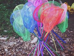 -楠溪江风景名胜区