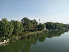 -大兴滨河森林公园