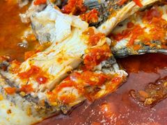 -风鑫铃罗非鱼(道沟店)