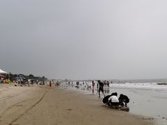 -南戴河海滨市场