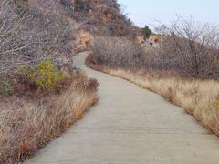 -北京西山国家森林公园