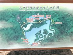 -野鸭湖国家湿地公园