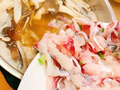 新鲜脆肉皖鱼片-红日饭店(裕隆三路店)