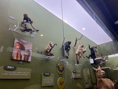 -国家自然博物馆